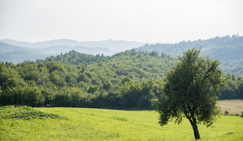 Pretežno sunčano i još toplije