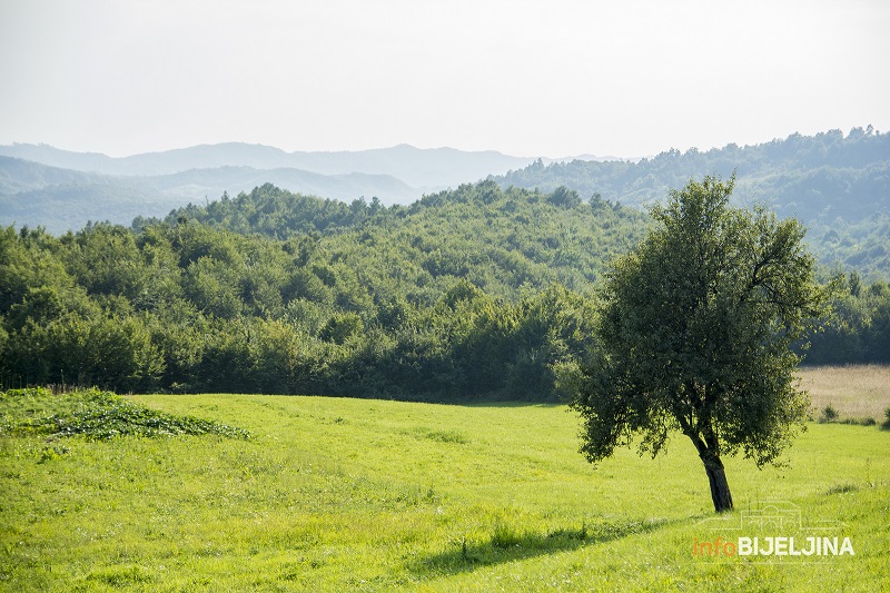 Sutra sunčano, temperatura do 30 stepeni