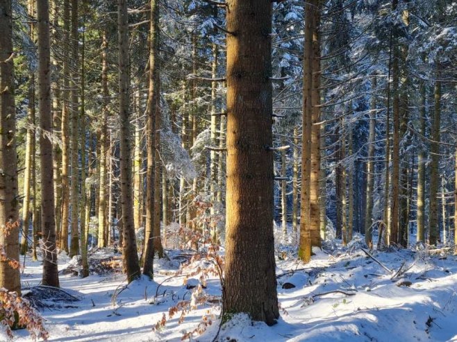 Danas vedro i prohladno