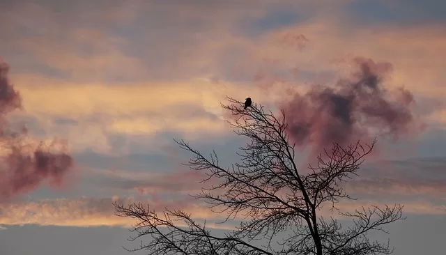 Pretežno oblačno, suvo i hladno