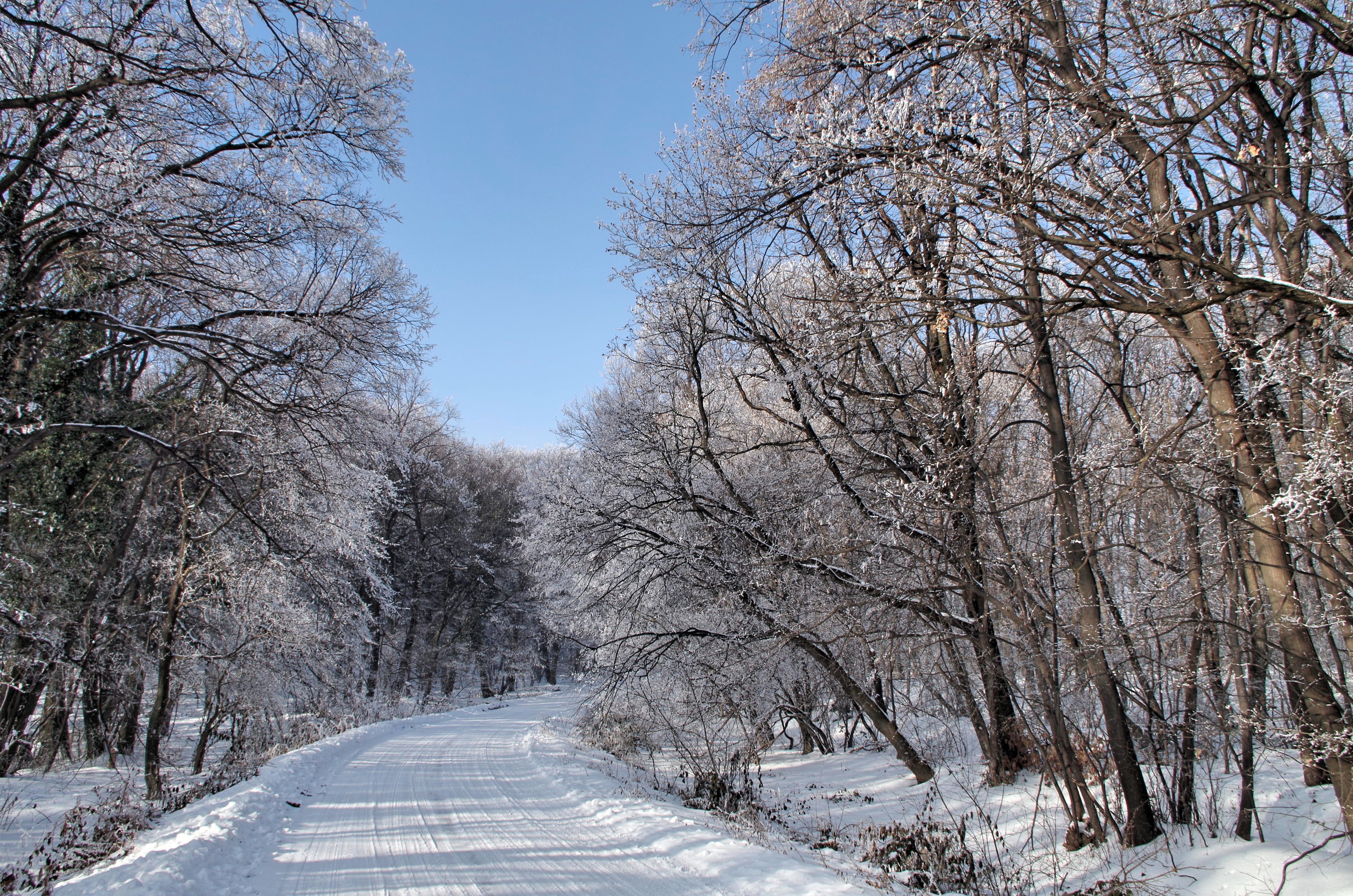 Na planinama i do minus 14 stepeni: Narednih dana hladno, očekuju se mraz i poledica