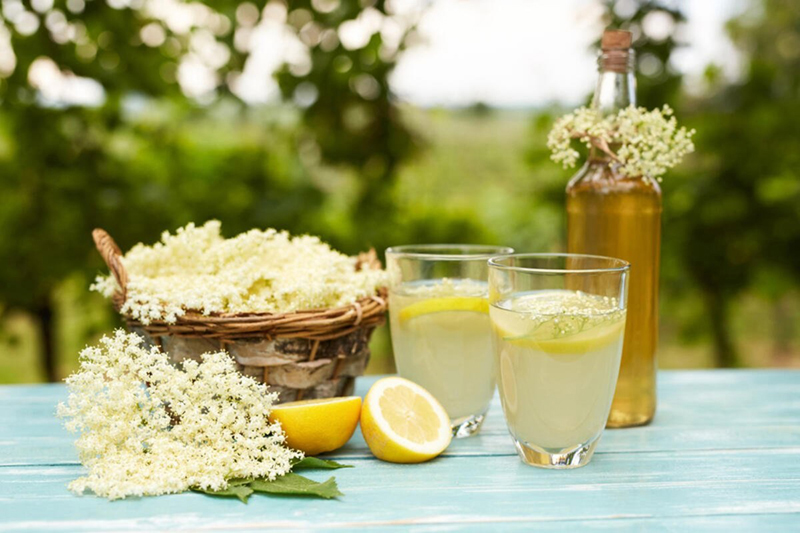 Starinski recept za sirup od zove: Osvježavajući napitak sa ukusom proljeća