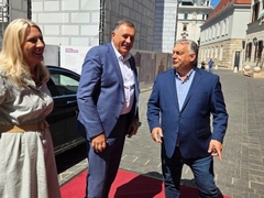 Cvijanović: Srpska i Mađarska pravi prijatelji, nastavljamo borbu protiv stranog diktata