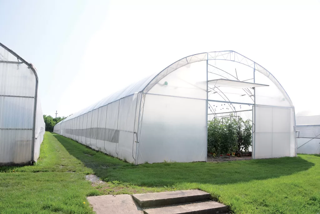 Milići: Poziv za projekat "Plastenička proizvodnja"