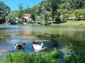 Pravo miholjsko ljeto: Temperature od 22 do 26 stepena