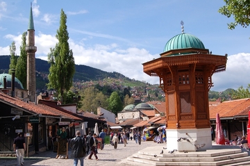 Koliko je stranaca uzelo državljanstvo BiH