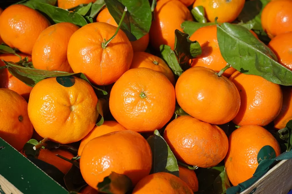 BiH zabranila uvoz mandarina iz Hrvatske