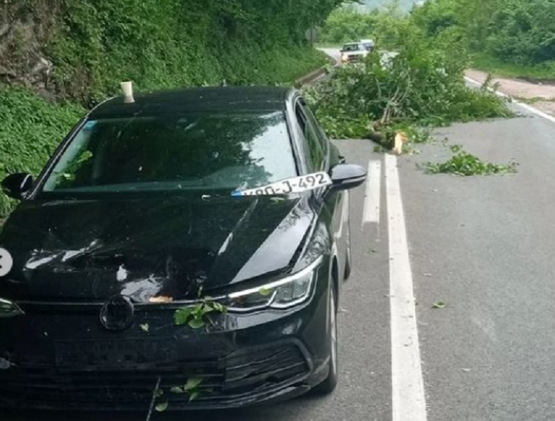 Povrijeđen vozač: Nezgoda kod Zvornika, grana pala na auto